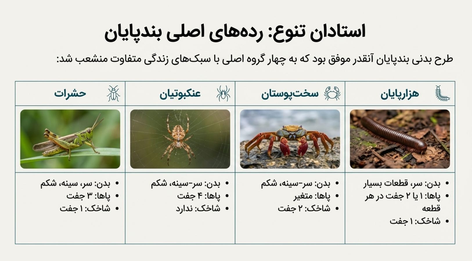 دریافت درسنامه فصل ۱۳ جانوران بی مهره (علوم نهم)