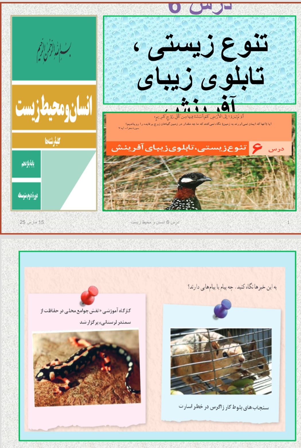 دریافت پاورپوینت انسان و محیط زیست پایه یازدهم (درس ۶)
