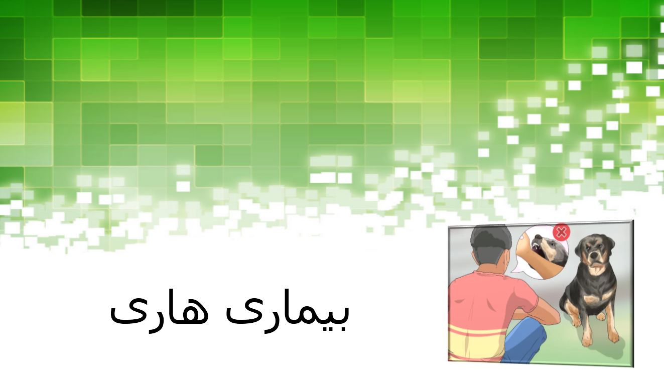 دریافت پاورپوینت درباره بیماری هاری