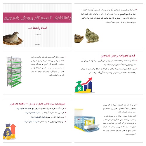 دریافت پاورپوینت راه‌اندازی پرورش بلدرچین
