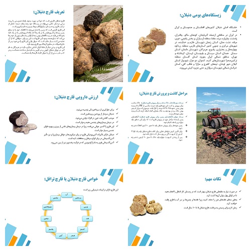 دریافت پاورپوینت معرفی و نحوه‌ی رشد قارچ دنبلان