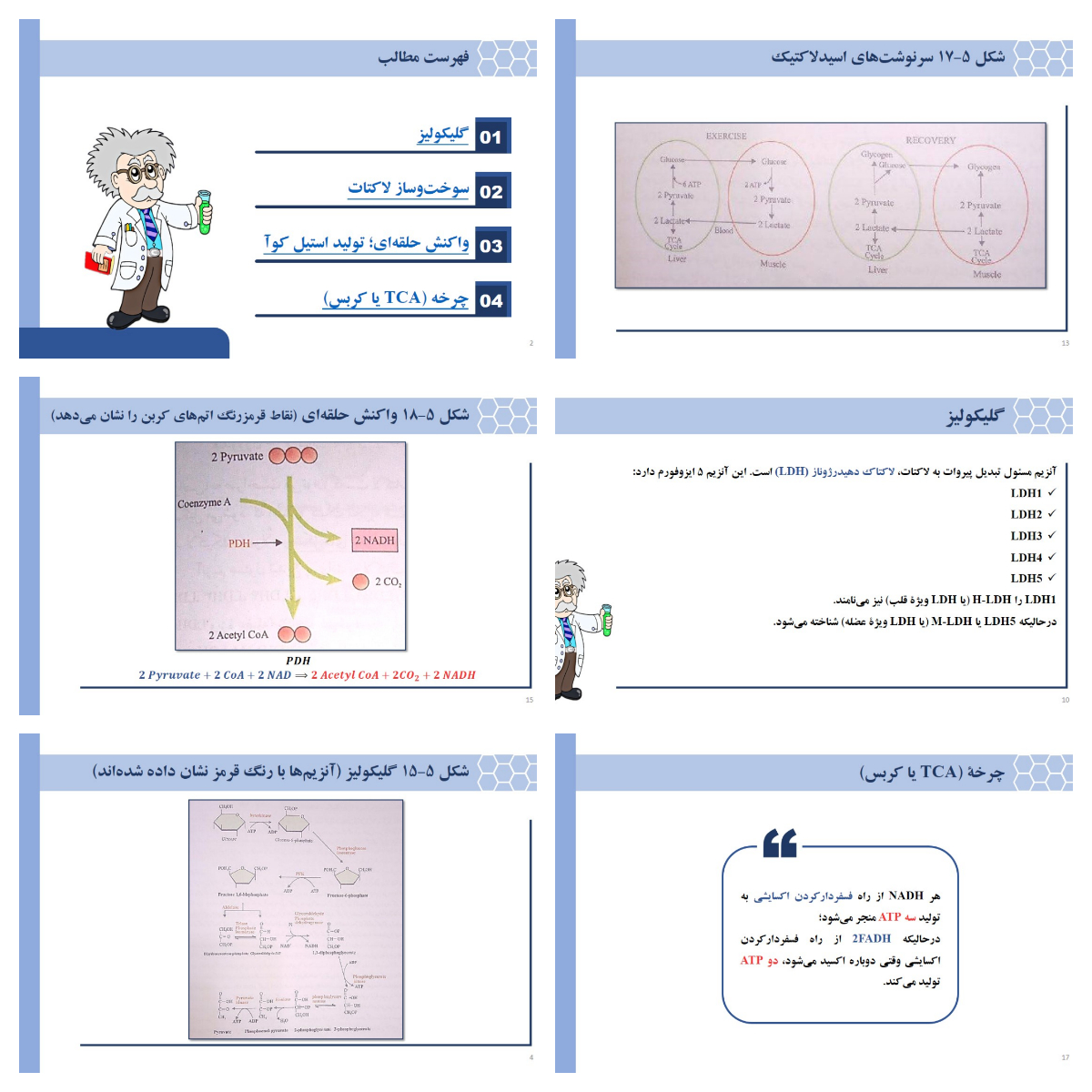 دریافت پاورپوینت بیوشیمی