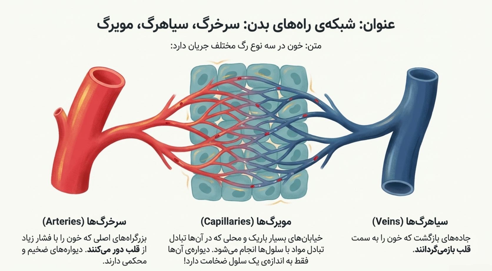 دریافت درسنامه فصل ۱۴ علوم هفتم (گردش مواد)