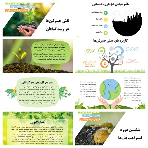دریافت پاورپوینت نقش جیبرلین در رشد گیاهان