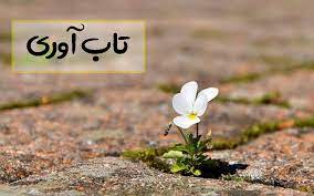 دریافت تحقیق مبانی نظری تاب آوری